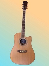 Freshman electro acoustic for sale  STRANRAER