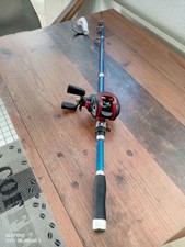 Angelruten 30 gr gebraucht kaufen Angelruten 30 gr gebraucht kaufen  Hamburg
