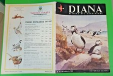 Diana rivista del usato  Cagliari