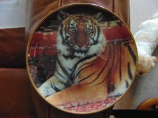 Imperial tiger collectors for sale  ROTHERHAM
