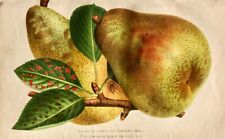 Pieter pannemaeker chromolitho gebraucht kaufen Pieter pannemaeker chromolitho gebraucht kaufen  München