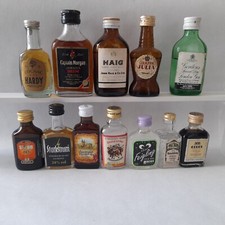 Miniatur schnapsflaschen samml gebraucht kaufen  Bruchköbel