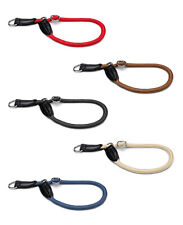 Lionto hundehalsband retriever gebraucht kaufen  Kleve