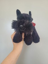 Scottish terrier dog for sale  SOUTHAMPTON