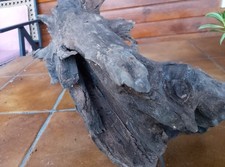 Driftwood Aquaristic Vivarium Decoration Natural Root Wood Korzeń 55x45x35 Cm na sprzedaż  PL