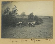 Haute garonne. candelé d'occasion  Montargis