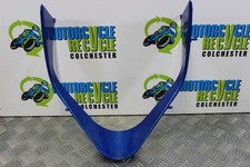 Kawasaki front fairing for sale Kawasaki front fairing for sale  COLCHESTER