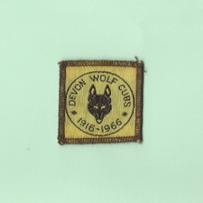 wolf cub scout for sale wolf cub scout for sale FORDINGBRIDGE