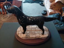 Best breed flatcoat for sale  BLACKPOOL