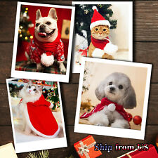 Dog cat pet for sale  San Francisco