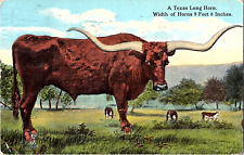 Texas texas long for sale  Sarasota