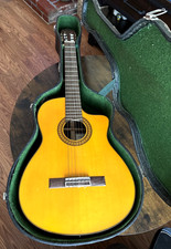 Walden acustic guitar for sale  Riverside