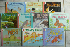 Big lot let for sale  Ada