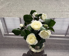 Bloom exclusive white for sale  SHREWSBURY