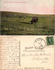 Deer buffalo plains for sale  Mansfield