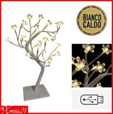Alberello ciliegio bianco usato  Tortoreto
