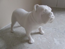 english bulldogs for sale english bulldogs for sale DAVENTRY