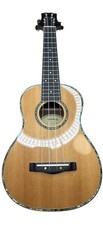 Mitchell fret string for sale  Southfield