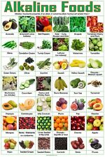 Alkaline foods poster for sale  Uniondale
