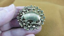 Armadillo desert dillo for sale  Spartanburg