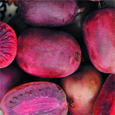 Rote mini kiwi gebraucht kaufen  Essen