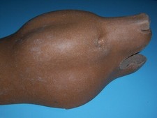 Bear rugshell taxidermy for sale  Erie