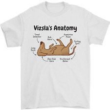 hungarian vizsla for sale hungarian vizsla for sale COVENTRY