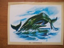 Figurina naturama lampo usato  Villanova Marchesana