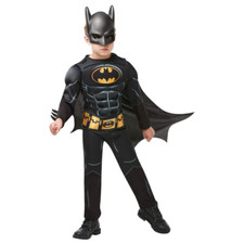 Bristol novelty costume usato  Roccagloriosa