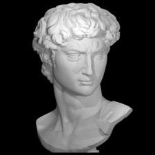 Statua testa david usato  San Marco Evangelista