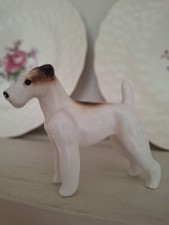 Small fox terrier for sale  ABERTILLERY