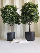 Set artificial boxwood for sale  SALISBURY