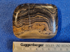 Stromatolith geschliffen 250 gebraucht kaufen  Stuttgart