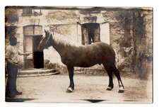 Man horse light for sale  Sturgeon Bay