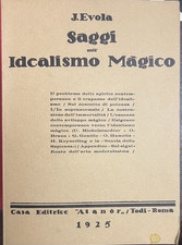 Evola saggi sull usato  Italia