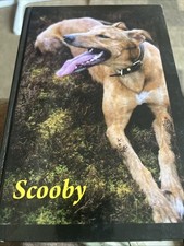 Scooby jonathan darcy for sale  CARMARTHEN