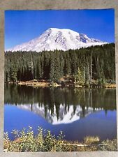 Vintage mt. rainier for sale  Corona