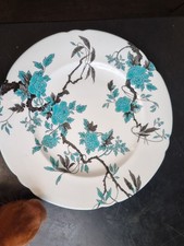 Shelley ovington dinner for sale  REDRUTH