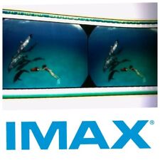 Imax 70mm dolphines usato  Italia