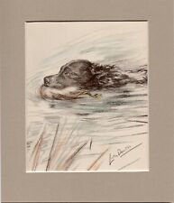 Lucy dawson springer for sale  SPALDING