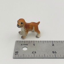 Miniature cocker spaniel for sale  Wichita Falls