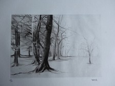 Albert woda gravure d'occasion  Saint-Denis