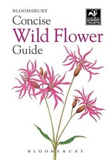 Concise wild flower for sale  ROSSENDALE