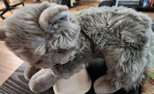 buddies dog beanie cat for sale  Clearwater