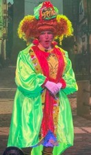 Grinch pantomime dame for sale  GREAT YARMOUTH