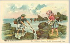 Fishing.maritime fishing. cutt d'occasion  Expédié en Belgium