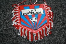 Petit fanion usm d'occasion  Jujurieux