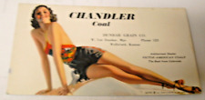 Vintage 1934 chandler for sale  Wilson