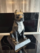 Pit bull germany gebraucht kaufen  Stuttgart