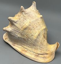 Horned king helmet for sale  Spring Branch